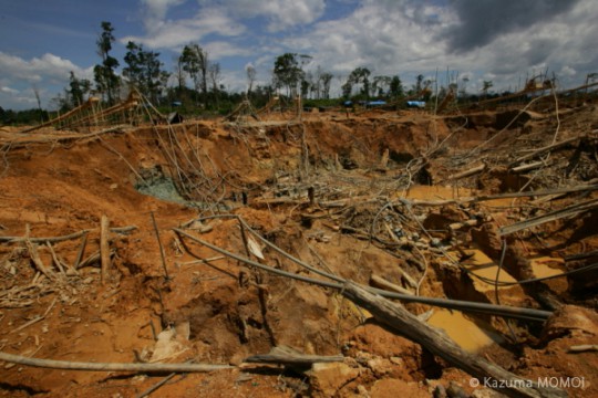 Environmental Destruction / 環境破壊 Kazuma Momoi Photography